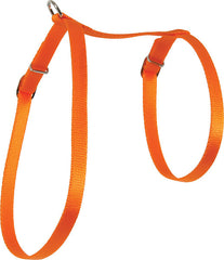Zolux Nylon Cat Harness 10mm Orange