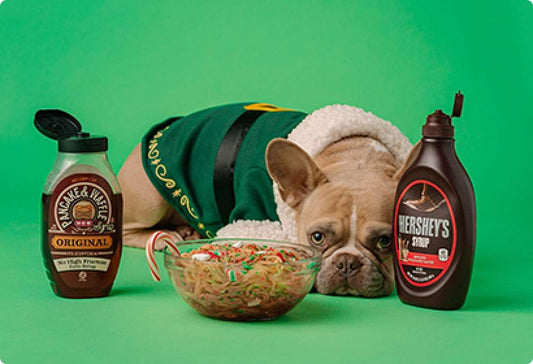 How To Choose The Right Bully Stick  For Your Dog - Petopia