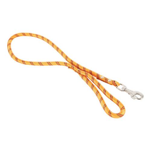 زولكس مشد نايلون للكلاب لون برتقالي 3 متر