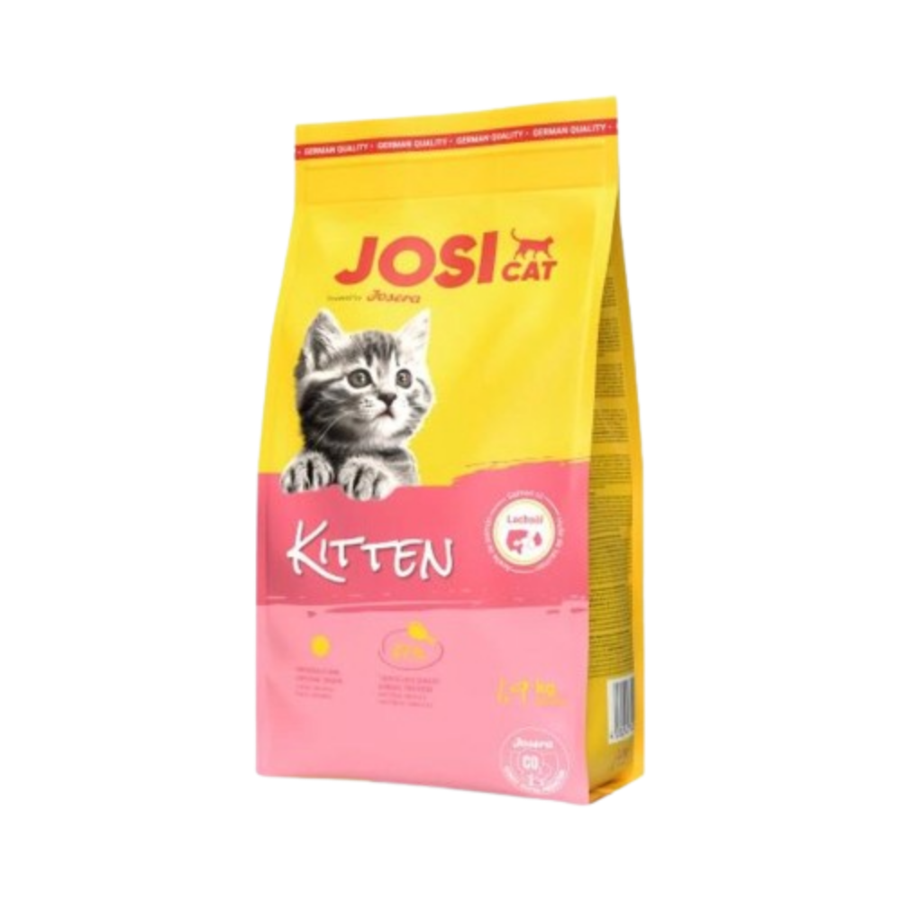 جوسي كات كتن