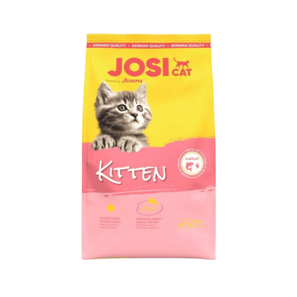 جوسي كات كتن