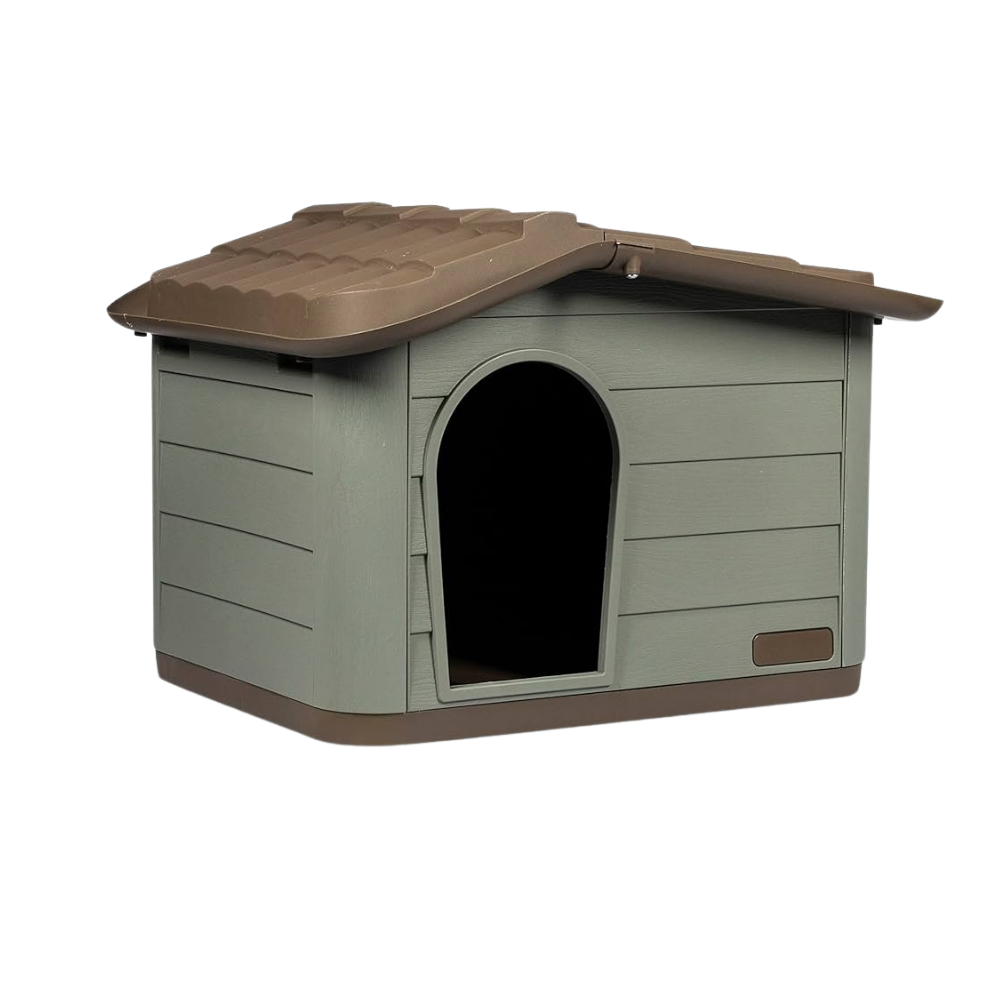 أم بي برغامو كوتشيا بيت كلاب