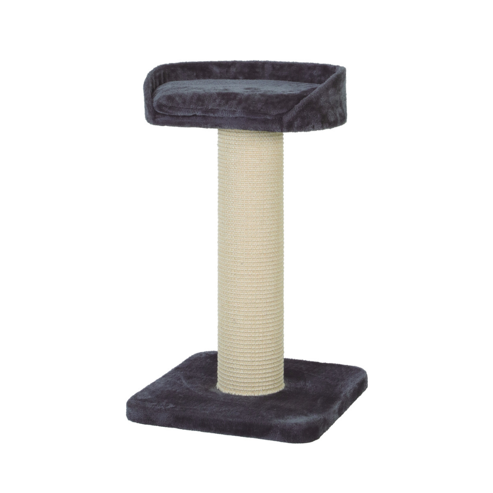 زولكس بيج كات 1 شجرة قطط رمادي