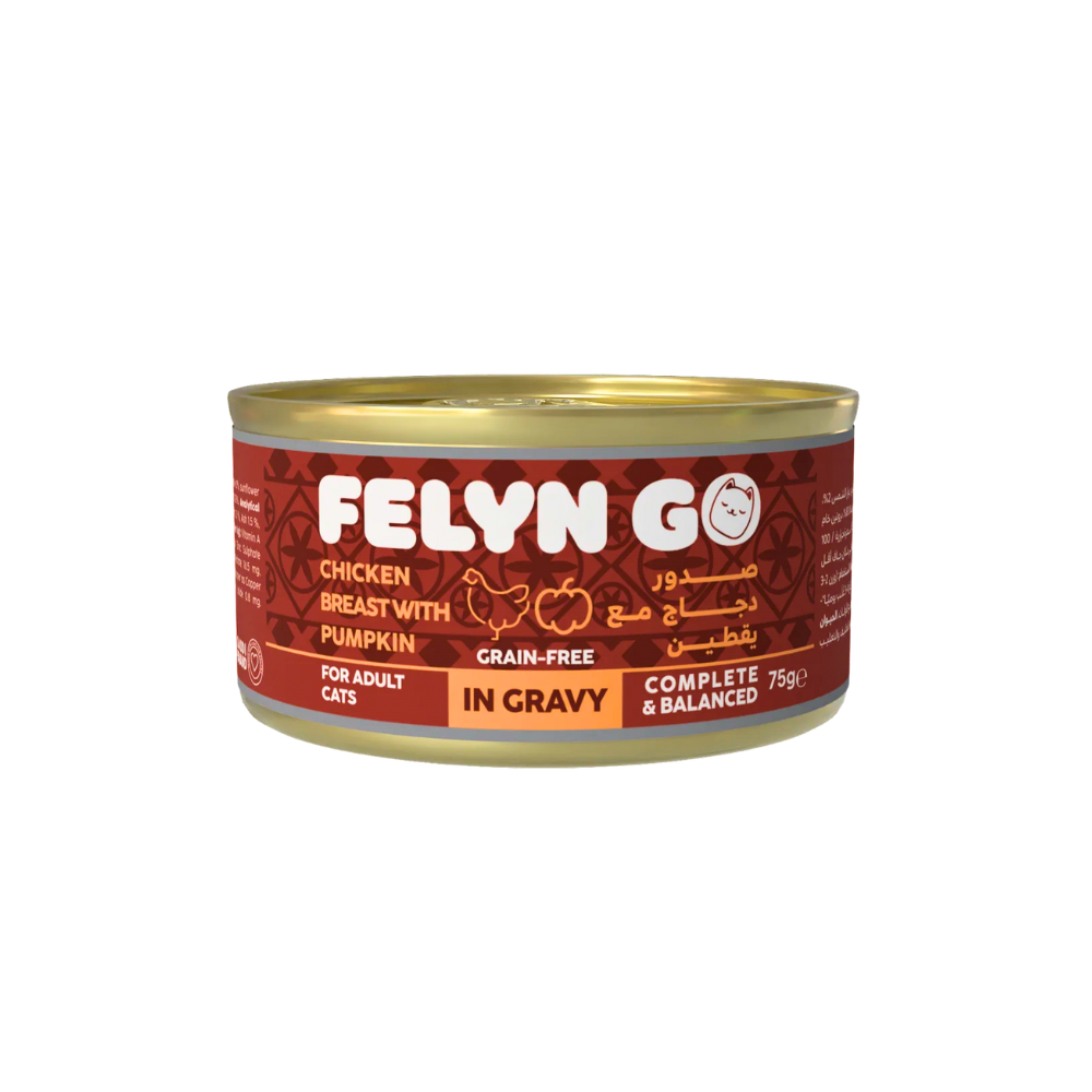 فيلاين قو طعام كامل معلبات صدر دجاج مع اليقطين في المرق 75غ