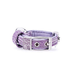 ماي فاميلي سانت تروبيز طوق جلد بنفسجي صغير 35×1.6سم